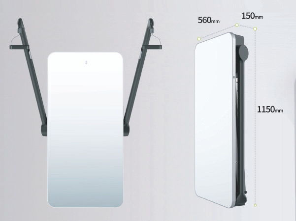 Diagramma dimensioni TrainPRO Mirror
